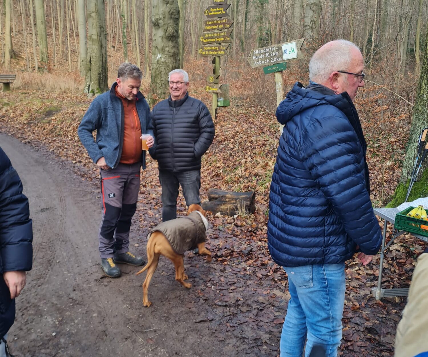 6c9c6f21-89ce-49a0-8619-de8aee4bd53c